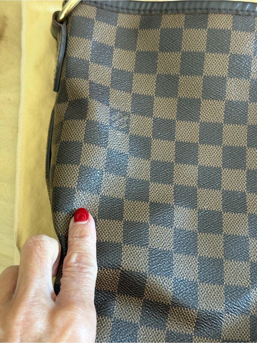 Louis Vuitton Damier Ebene Check Hobo with Gold-Tone Accent